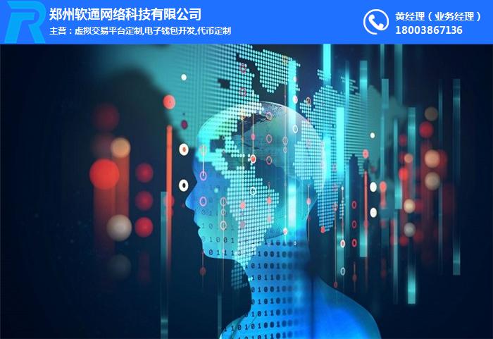 消费分期系统开发与网络架构实践 以软通网络在线咨询方案为例